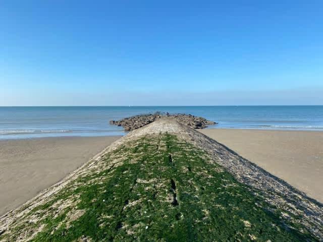 Seaview With Style Daire Oostende Dış mekan fotoğraf