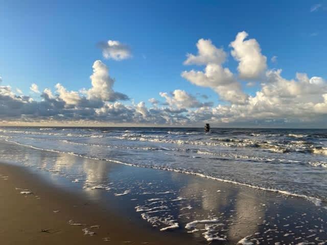 Seaview With Style Daire Oostende Dış mekan fotoğraf